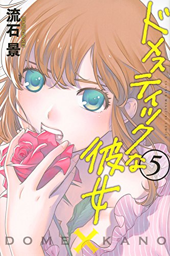 ドメスティックな彼女