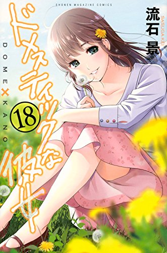 ドメスティックな彼女