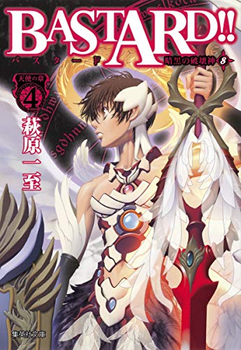 BASTARD!! 暗黒の破壊神 8の表紙画像