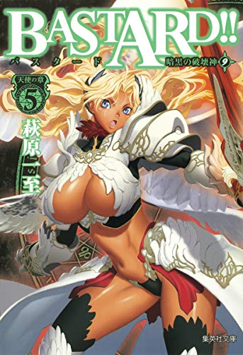 BASTARD!! 暗黒の破壊神 9の表紙画像