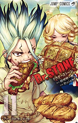 Dr.STONE
