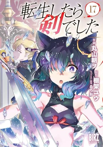 転生したら剣でした