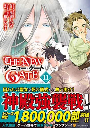 THE NEW GATE 11の表紙画像