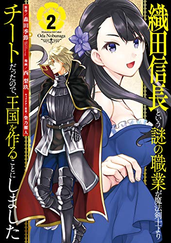 織田信長という謎の職業が魔法剣士よりチートだったので、王国を作ることにしました