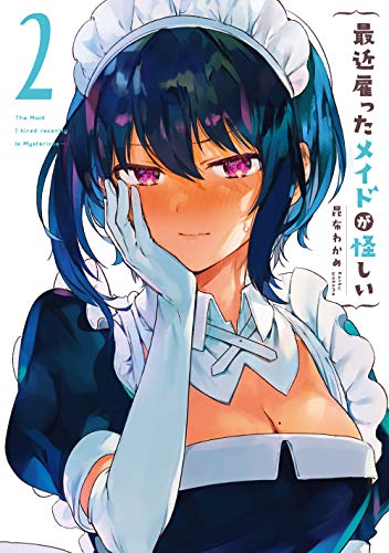 最近雇ったメイドが怪しい 2の表紙画像