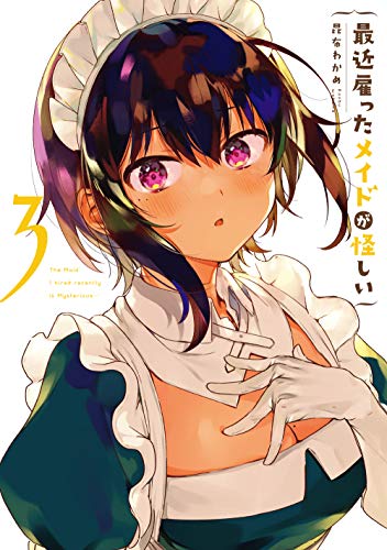 最近雇ったメイドが怪しい 3の表紙画像