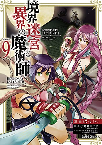 境界迷宮と異界の魔術師