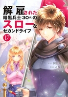解雇された暗黒兵士 17［ 岡沢 六十四 ］の自炊・スキャンなら自炊の森