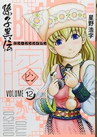 ビン~孫子異伝~ 12［ 星野 浩字 ］の自炊・スキャンなら自炊の森