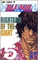 BLEACH―ブリーチ― 5［ 久保 帯人 ］の自炊・スキャンなら自炊の森