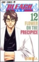 BLEACH―ブリーチ― 12［ 久保 帯人 ］の自炊・スキャンなら自炊の森