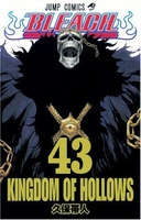 BLEACH―ブリーチ― 43［ 久保 帯人 ］の自炊・スキャンなら自炊の森