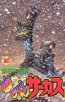 からくりサーカス 30［ 藤田 和日郎 ］の自炊・スキャンなら自炊の森