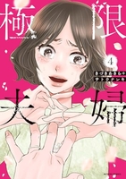 極限夫婦 4［ きづきあきら ］の自炊・スキャンなら自炊の森